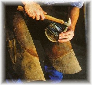 Equine Farrier Photo
