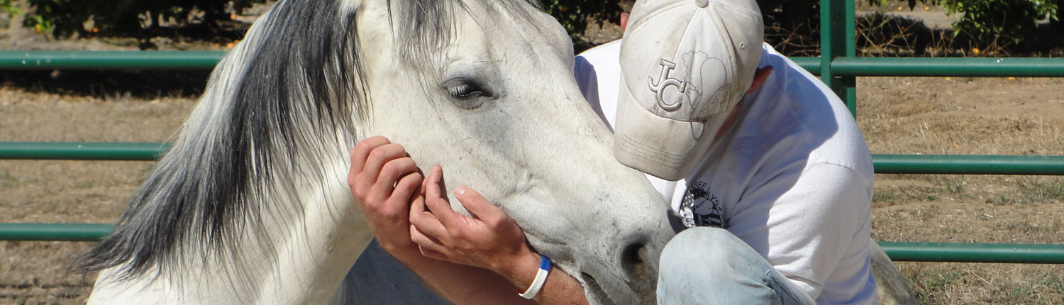 Equine Assisted Therapy banner