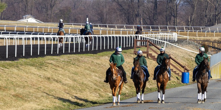 equine-training-stable1 eqine training stable