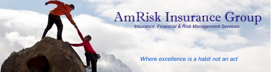 AmRisk Insurance Financial Risk Management Services