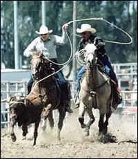 TeamRoping